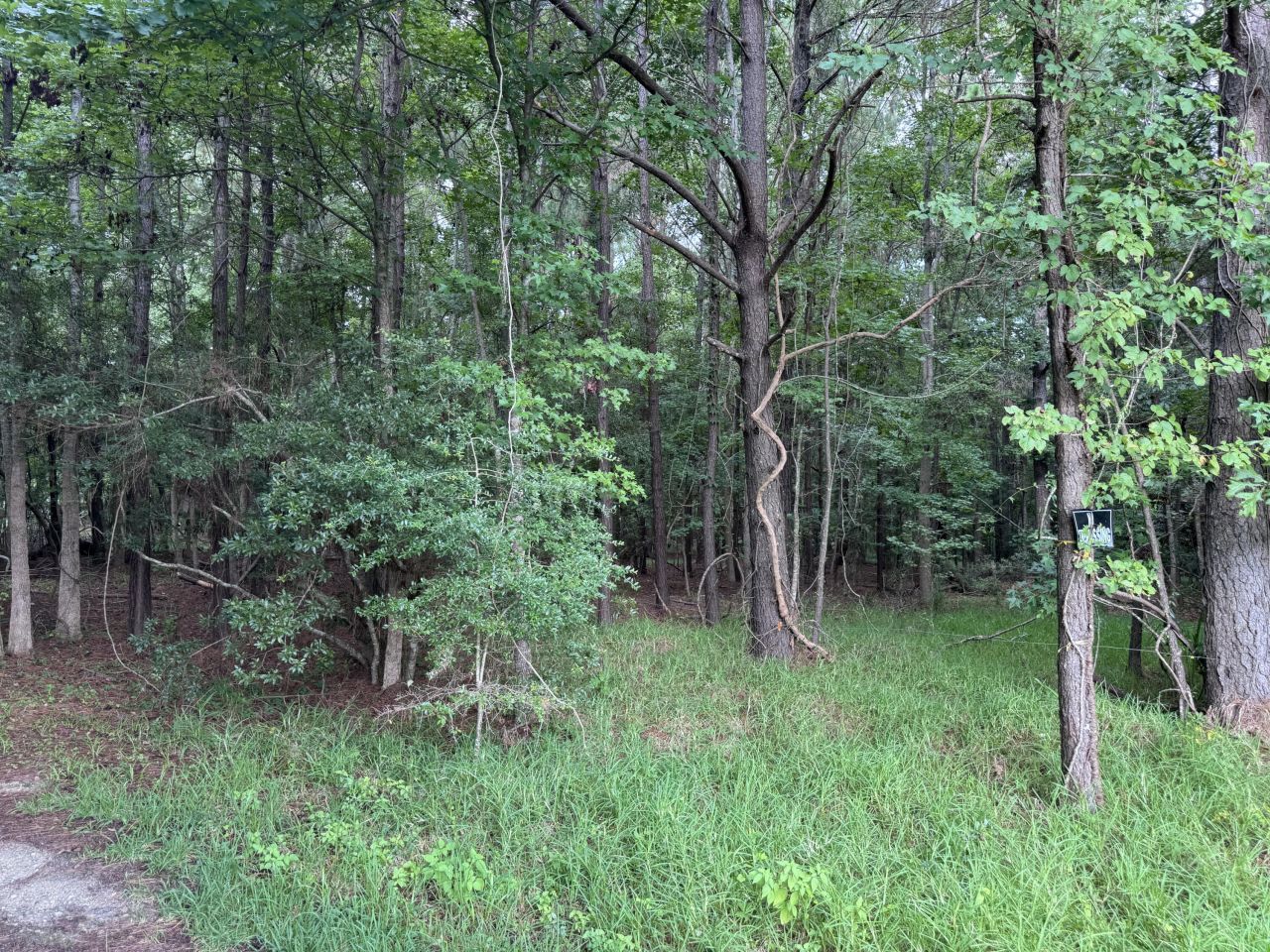 2251 Turkey Hill Road Photo 4