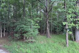 2251 Turkey Hill Road photo 4