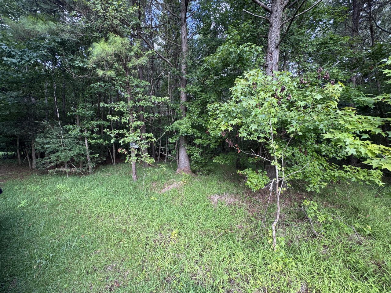 2251 Turkey Hill Road Photo 5