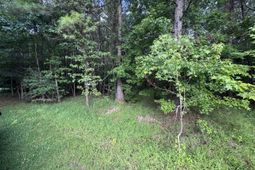 2251 Turkey Hill Road photo 4