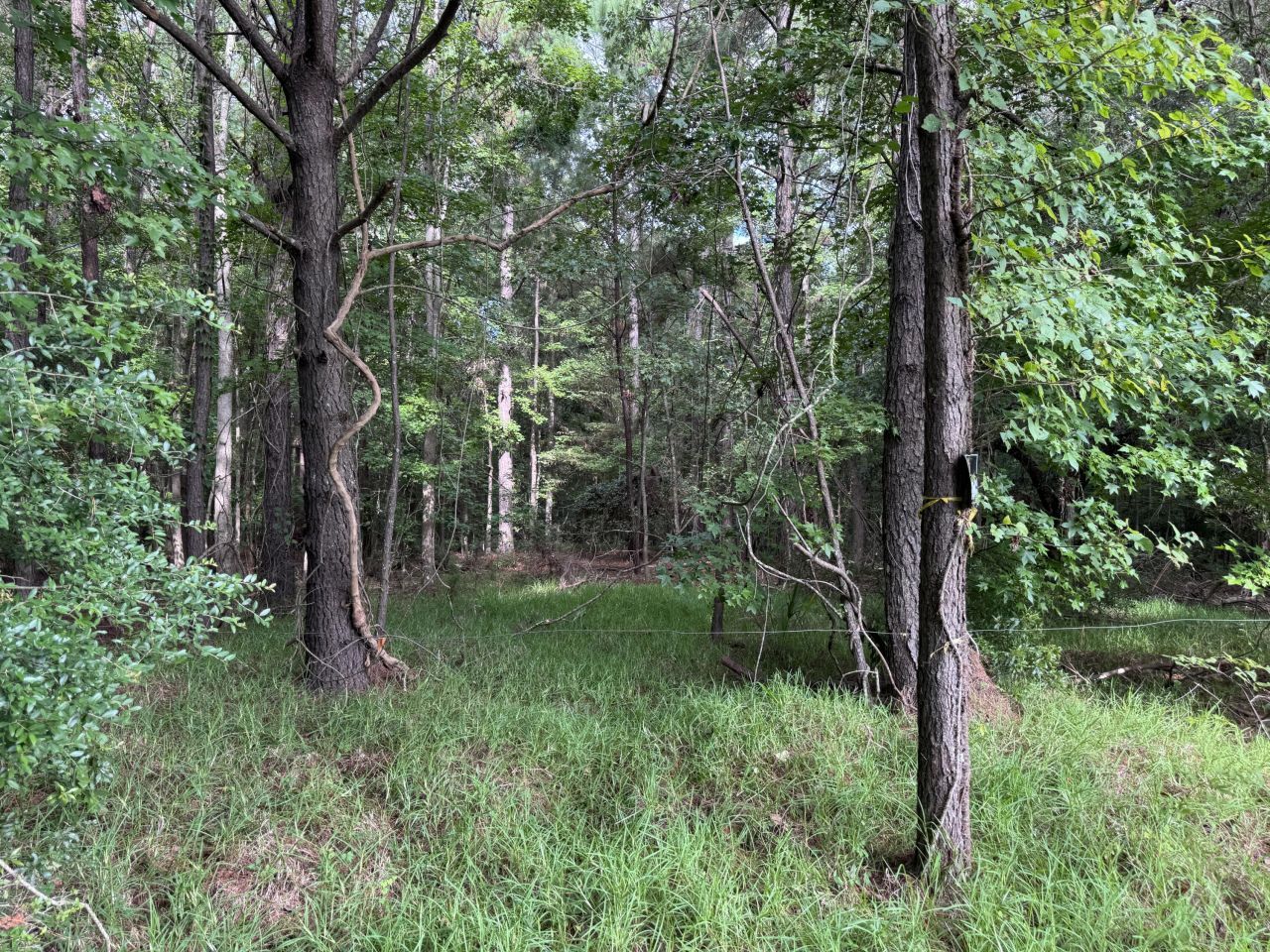 2251 Turkey Hill Road Photo 6