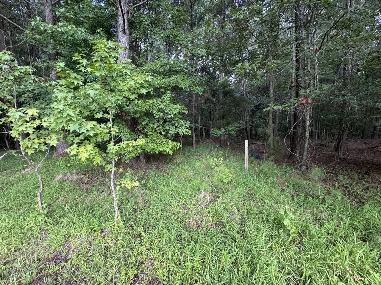 2251 Turkey Hill Road Photo 7