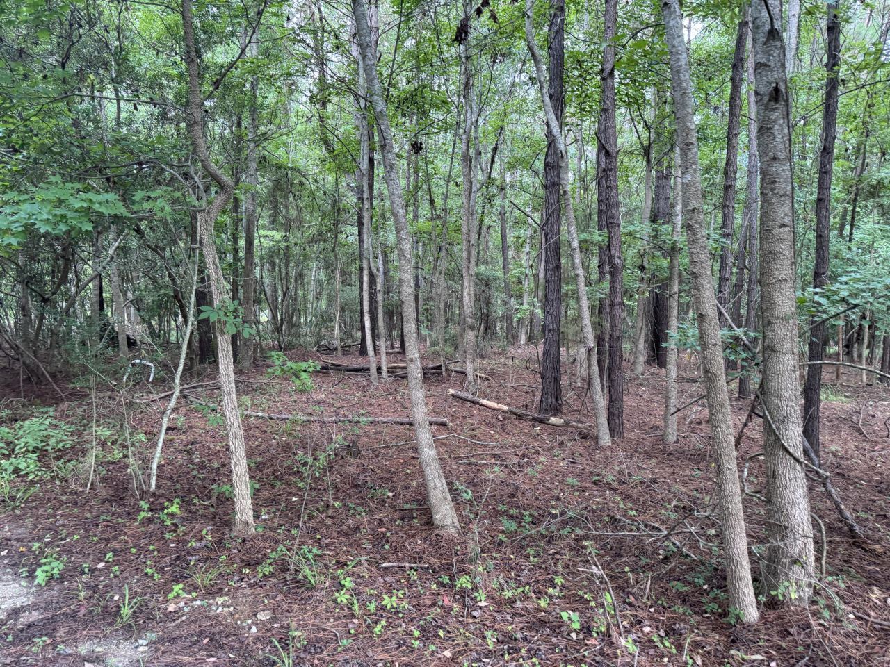 2251 Turkey Hill Road Photo 8