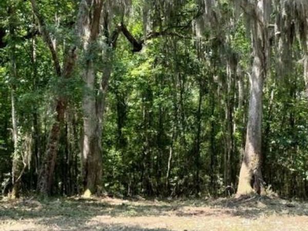 0 Briar Patch Place, Unit LOT 15, Townsend, GA 31331
