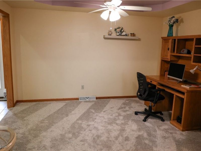 2003 E County Line Road, Mineral Ridge, OH 44440 Photo 18