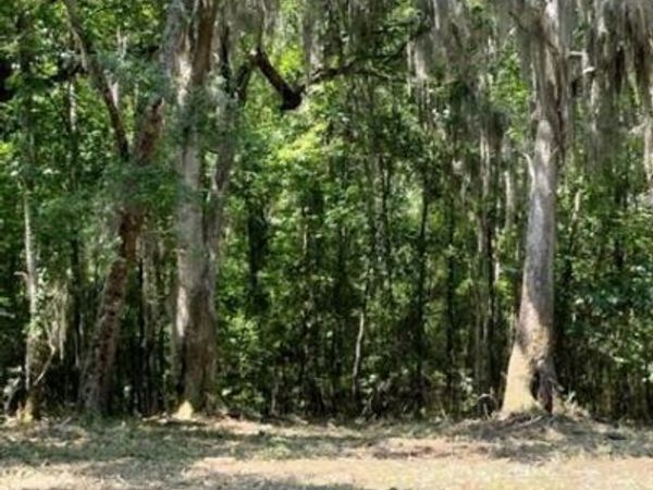 0 Briar Patch Place, Unit LOT 29, Townsend, GA 31331