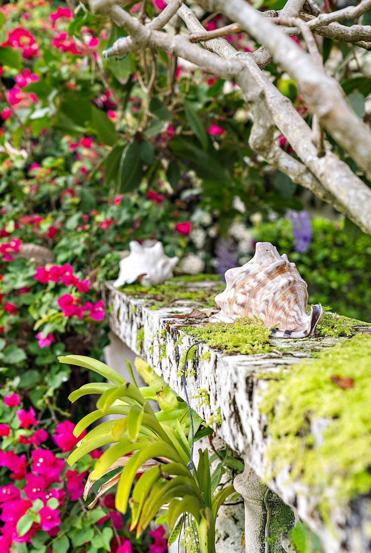 111 Via Del Lago, Palm Beach, FL 33480 Photo