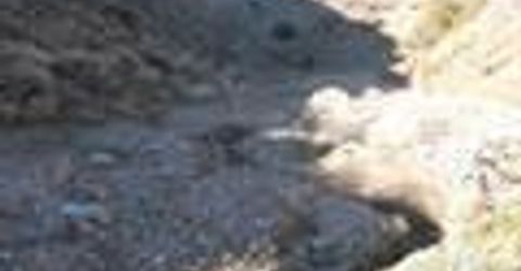 1205 Appian Way, Lot #46, Reno, NV 89510 Photo