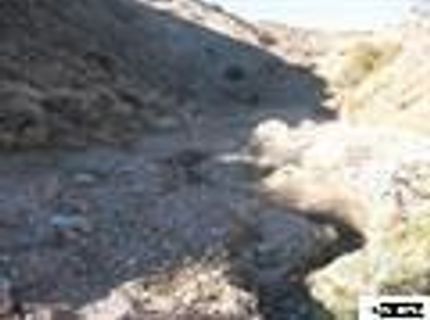1205 Appian Way, Lot #46, Reno, NV 89510 Photo