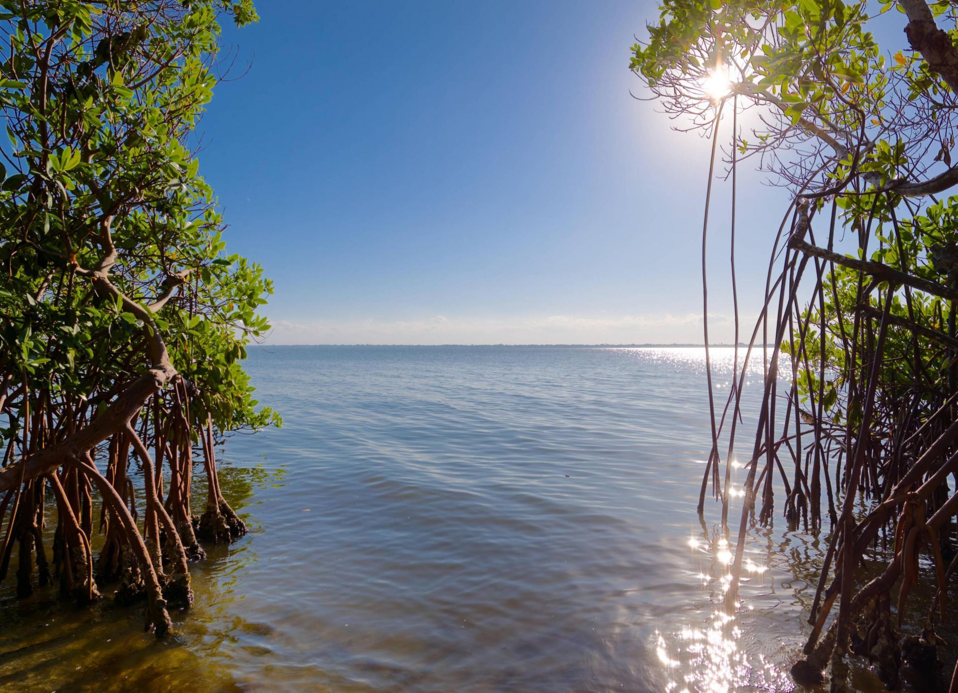 7683 Pelican Pointe Drive, Jensen Beach, FL 34957 Photo