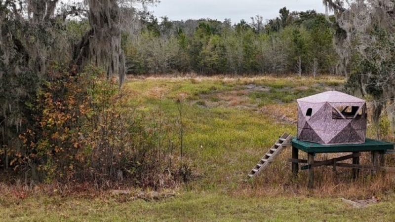 5000 NW Little Cat Rd, Madison, FL 32340 Photo