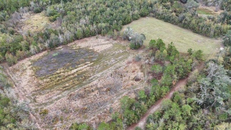 5000 NW Little Cat Rd, Madison, FL 32340 Photo