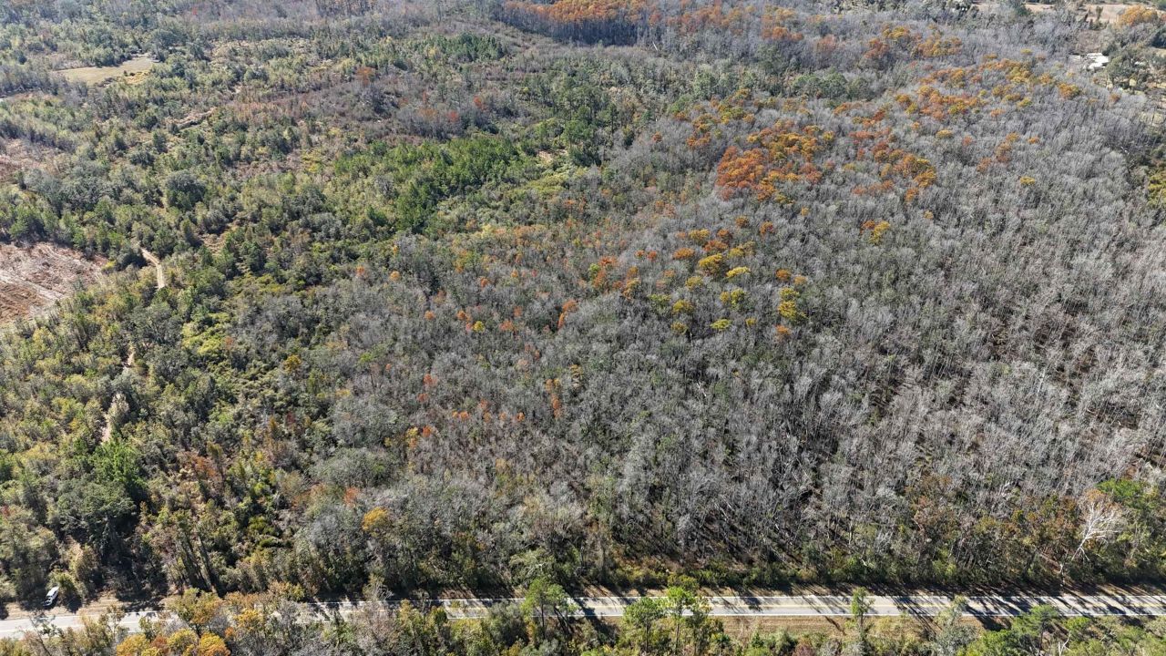 5000 NW Little Cat Rd, Madison, FL 32340 Photo