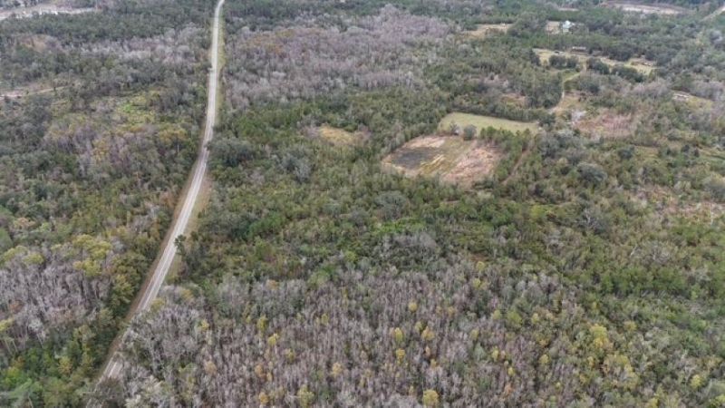 5000 NW Little Cat Rd, Madison, FL 32340 Photo