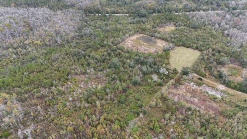 5000 NW Little Cat Rd, Madison, FL 32340 Photo