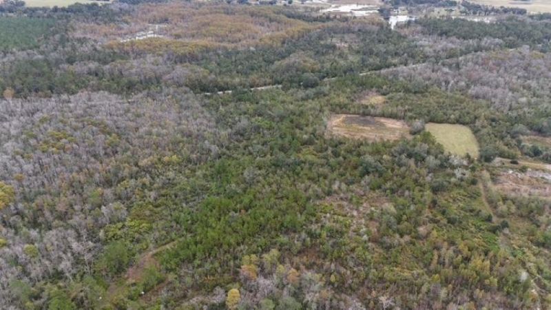 5000 NW Little Cat Rd, Madison, FL 32340 Photo