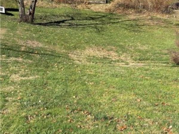 448 Market Street, Clarington, OH 43915