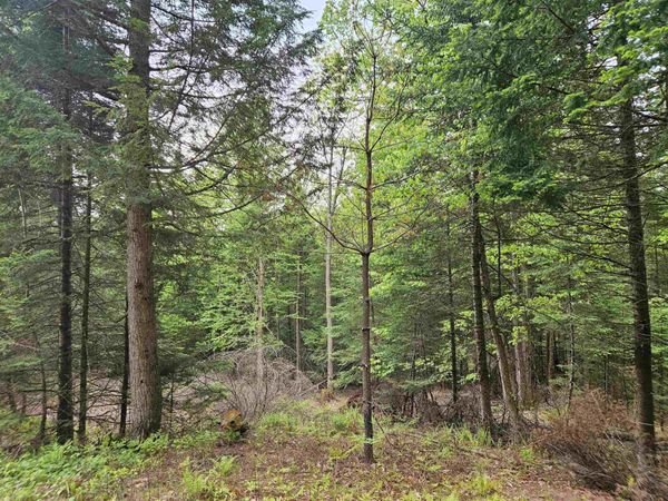 35 Langway Road, Lyman, NH 03585
