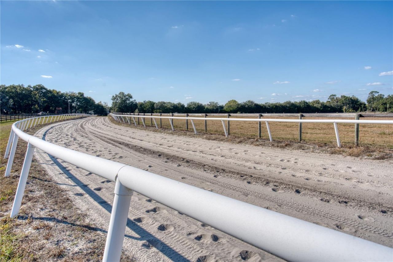 1345 NE 155 Place, Citra, FL 32113 Photo