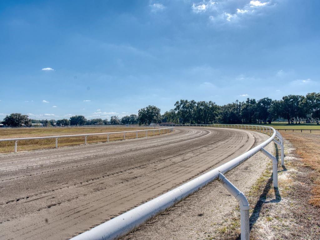 1345 NE 155 Place, Citra, FL 32113 Photo