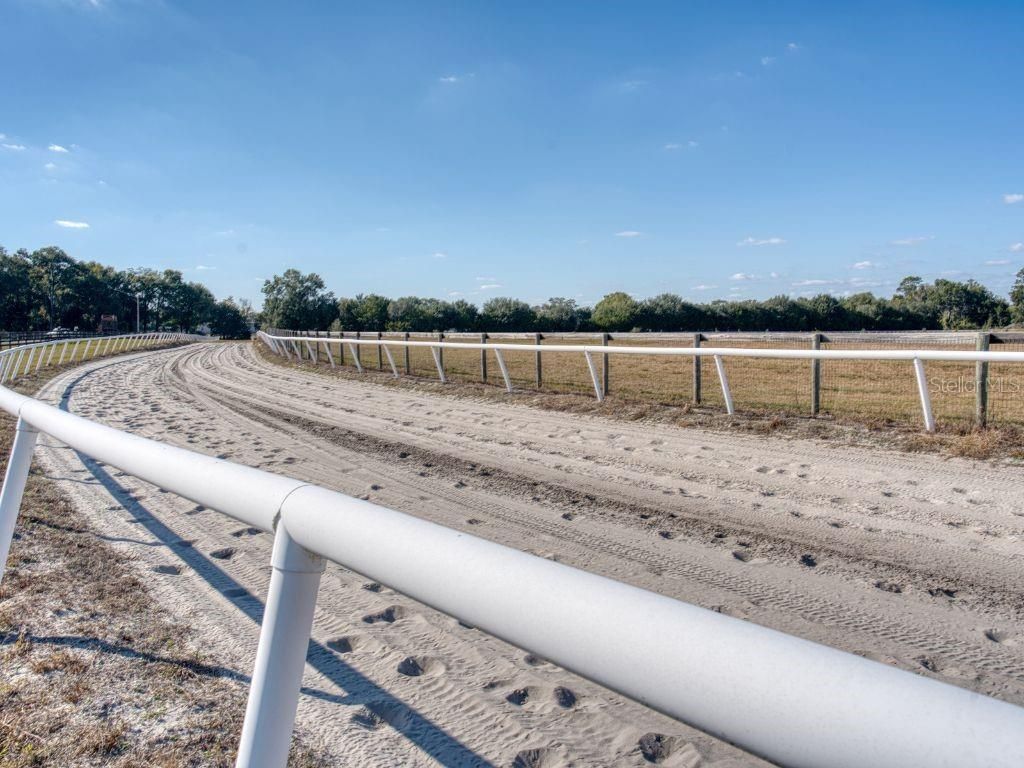 1345 NE 155 Place, Citra, FL 32113 Photo