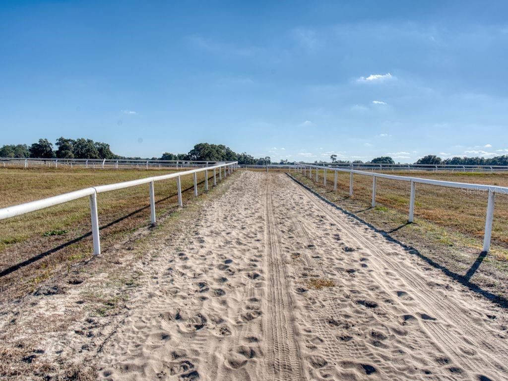 1345 NE 155 Place, Citra, FL 32113 Photo