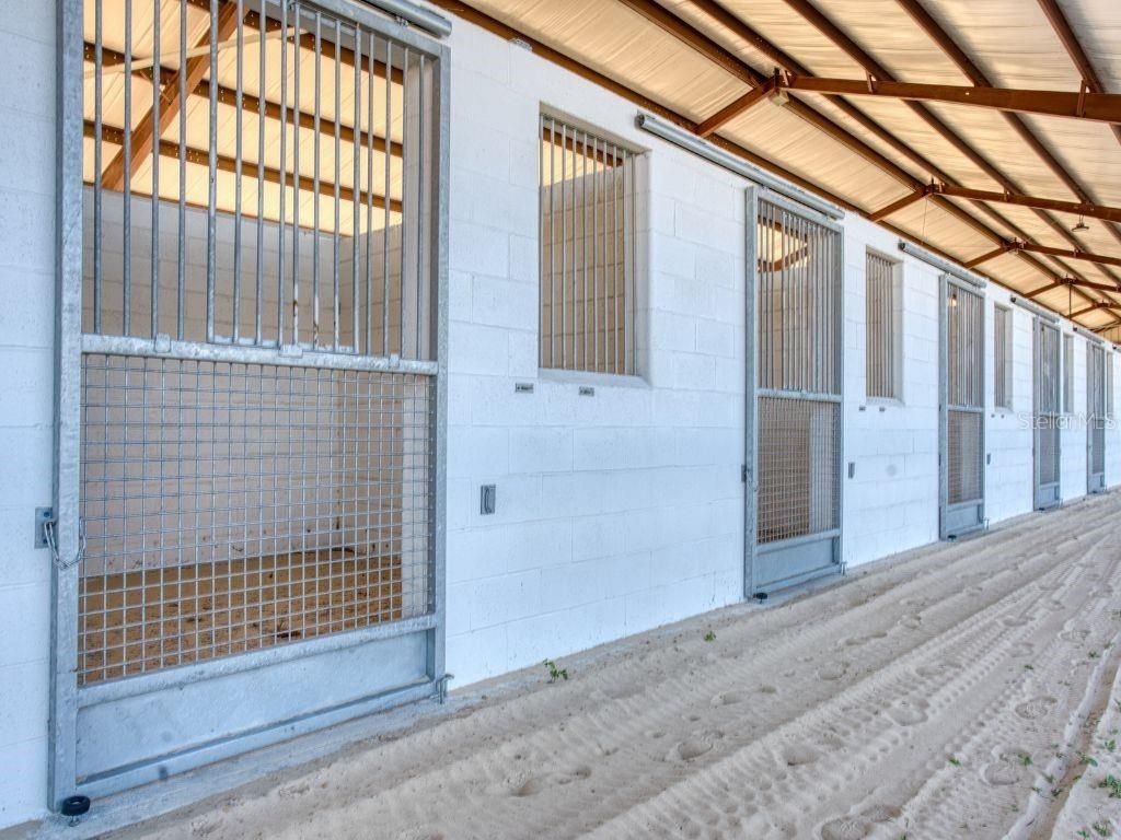 1345 NE 155 Place, Citra, FL 32113 Photo