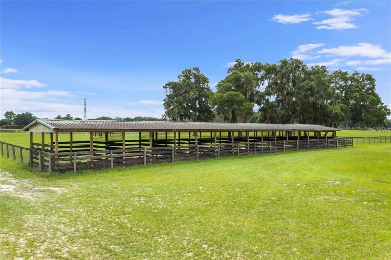 1345 NE 155 Place, Citra, FL 32113 Photo