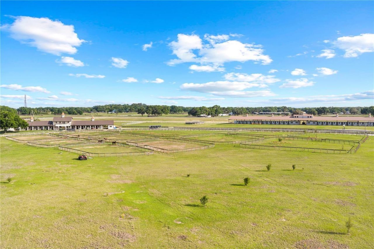 1345 NE 155 Place, Citra, FL 32113 Photo
