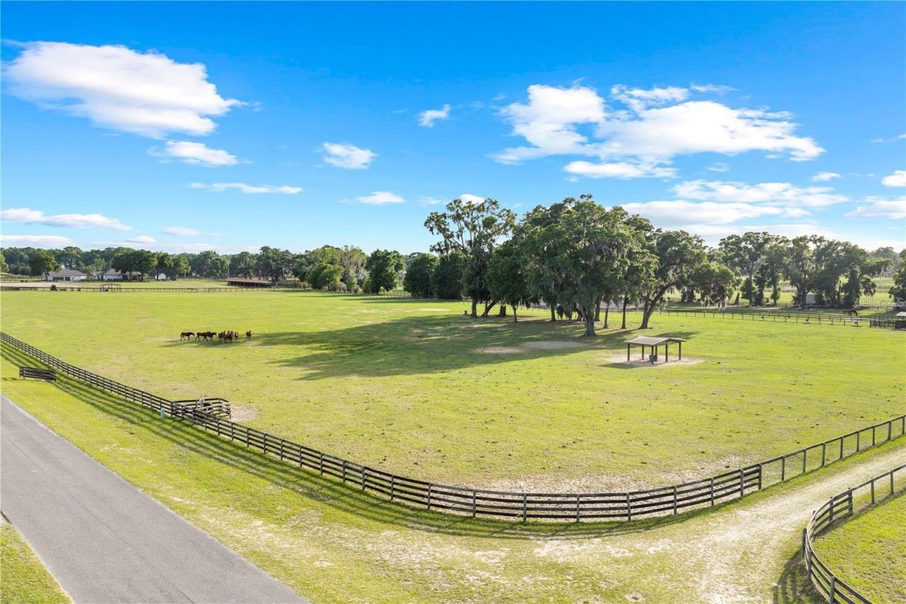 1345 NE 155 Place, Citra, FL 32113 Photo