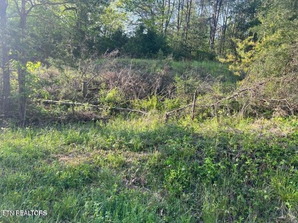 Vardy Blackwater Rd, Sneedville, TN 37869