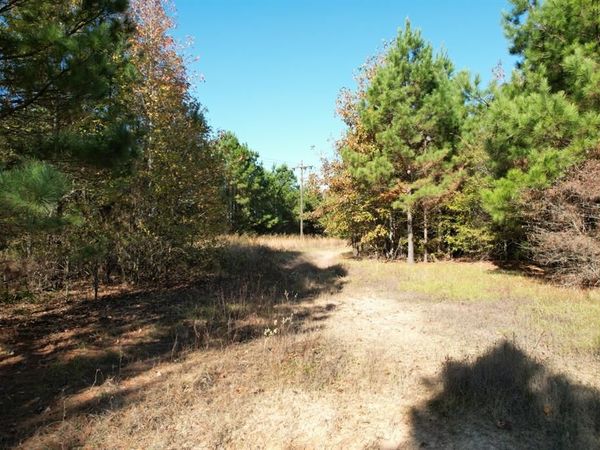 TBD FM 1650, Gilmer, TX 75645