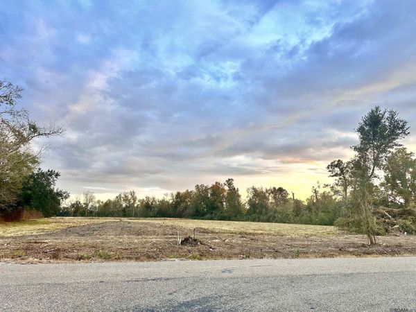 Lot #2-A La Hwy 22, Darrow, LA 70725