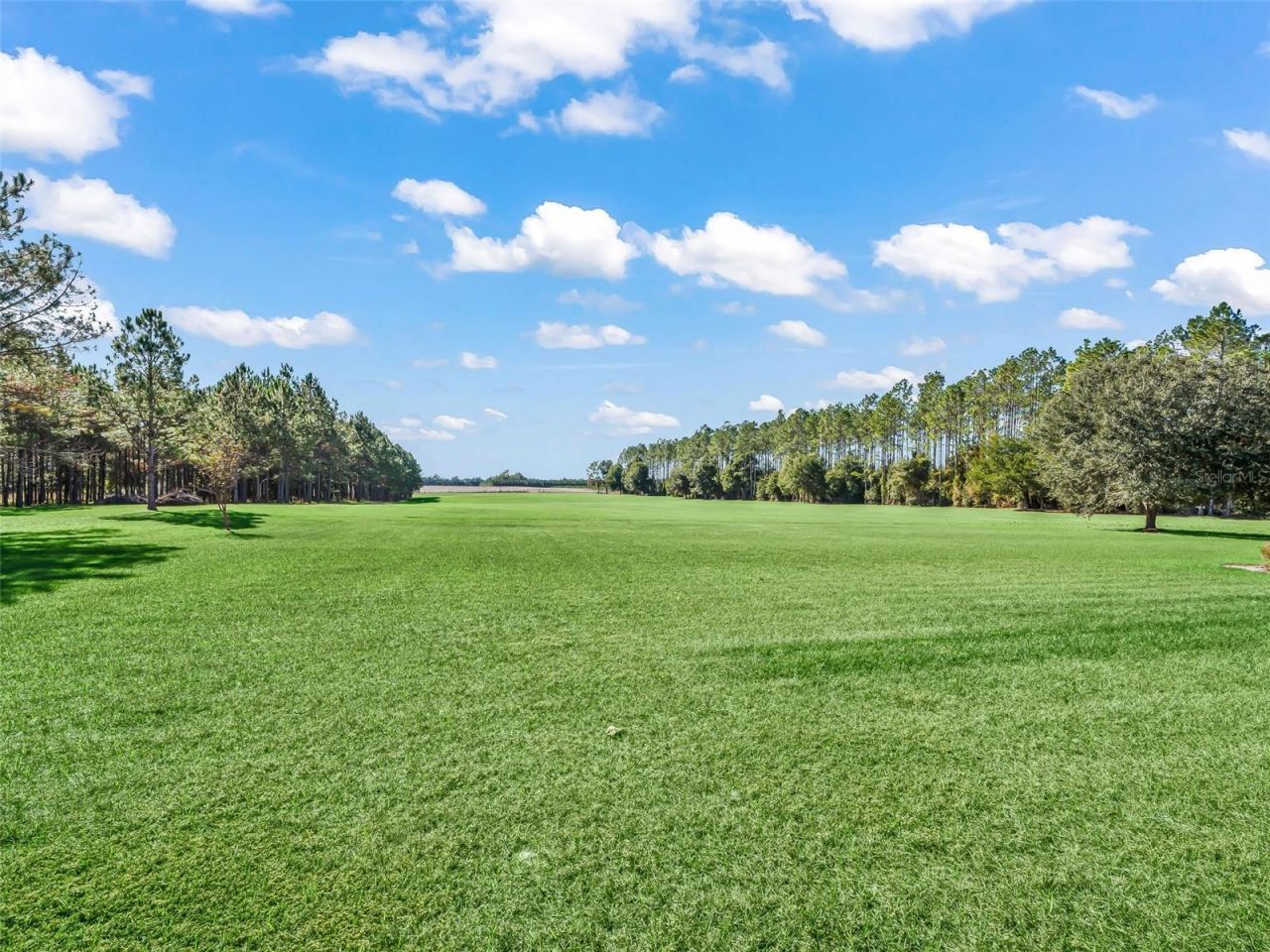 1231 NW 120th Street, Chiefland, FL 32626 Photo