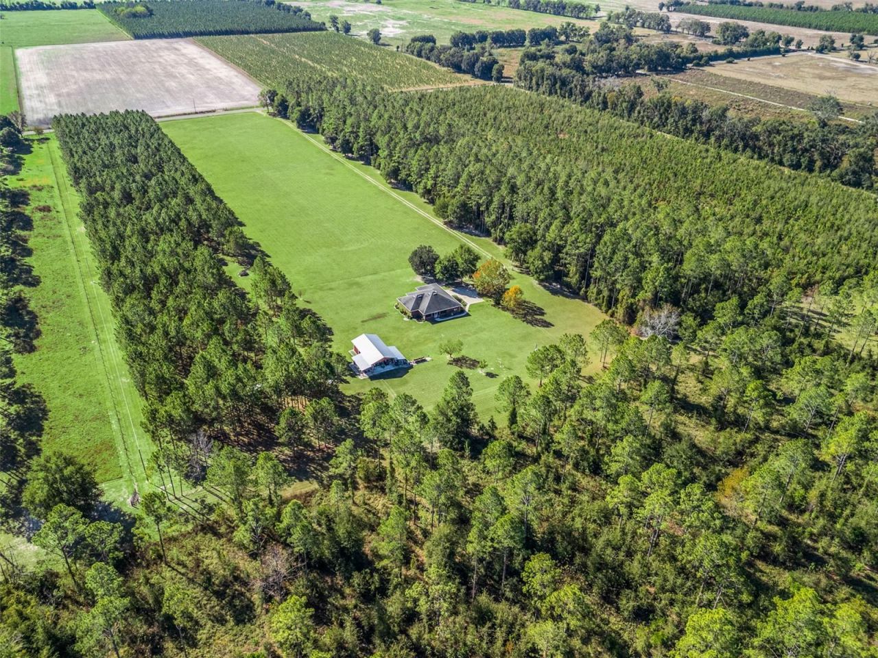 1231 NW 120th Street, Chiefland, FL 32626 Photo