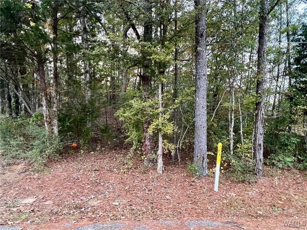 00 8TH Avenue SW, Fayette, AL 35555