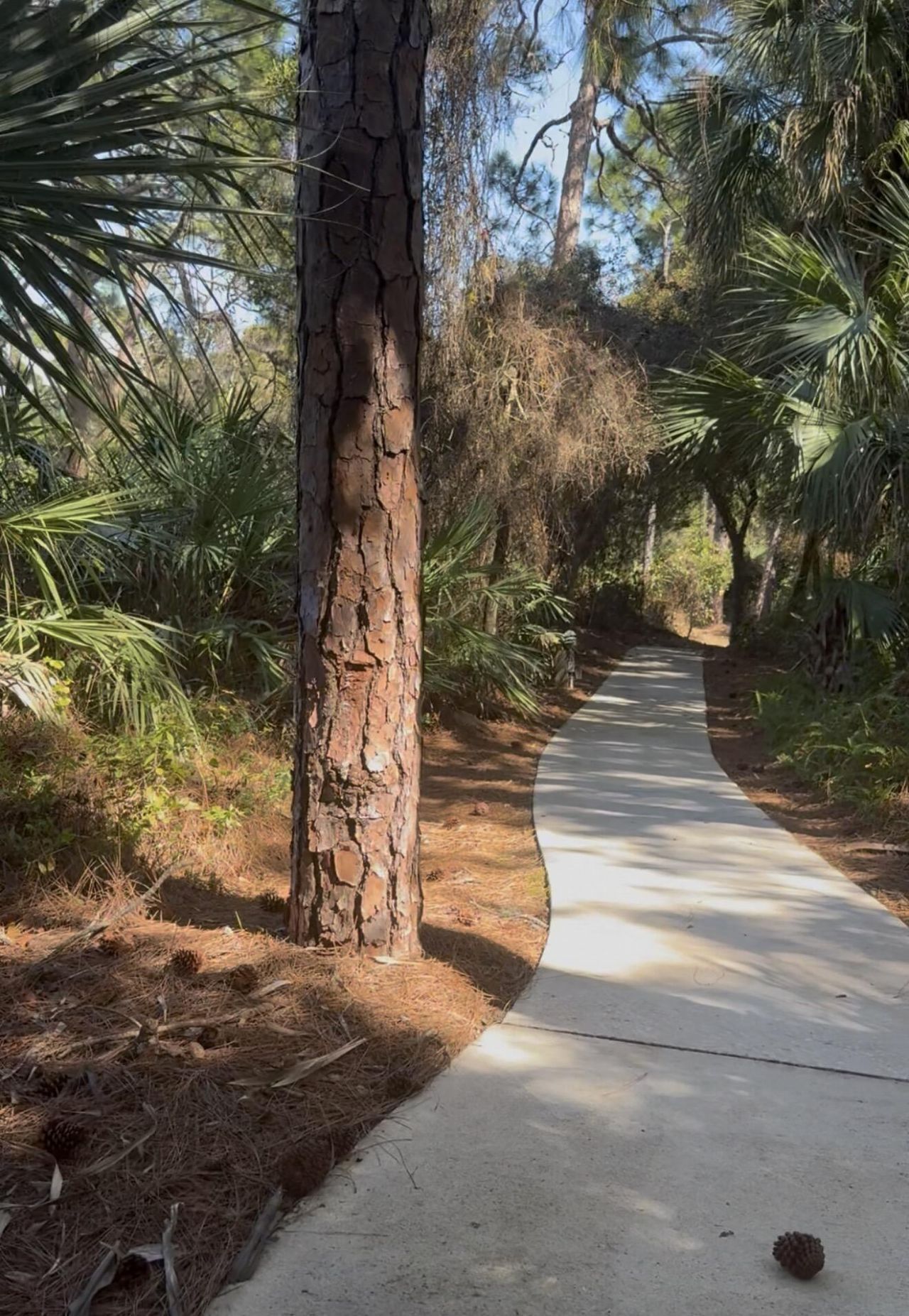 104 NE Charleston Oaks Drive, Port Saint Lucie, FL 34983 Photo