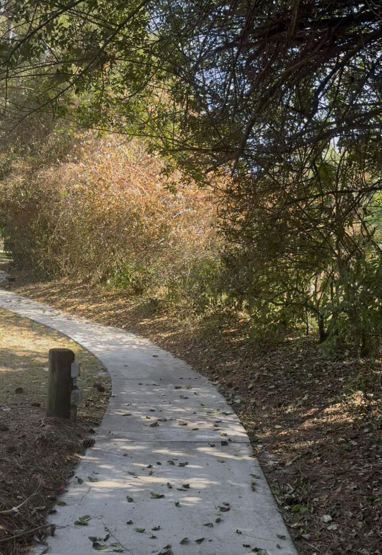 104 NE Charleston Oaks Drive, Port Saint Lucie, FL 34983 Photo