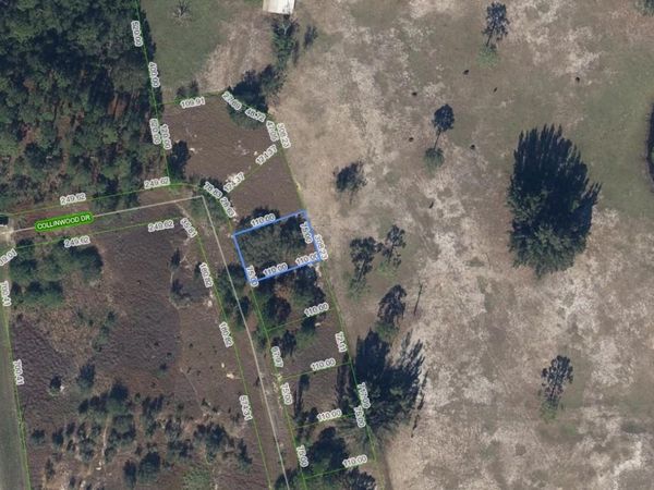 132 COLLINWOOD DRIVE, LAKE PLACID, FL 33852