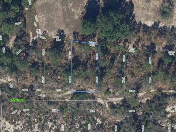 136 CLAVERTON DRIVE, LAKE PLACID, FL 33852