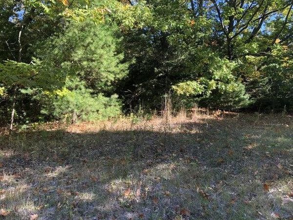 TBD W Etherington Street, Mackinaw City, MI 49701