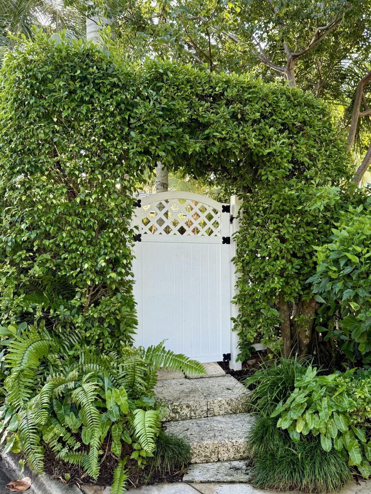 222 Miraflores Drive, Palm Beach, FL 33480 Photo