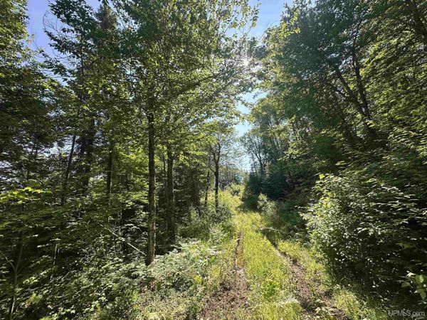 Off Indian Lake Road, Michigamme Twp, MI 49861