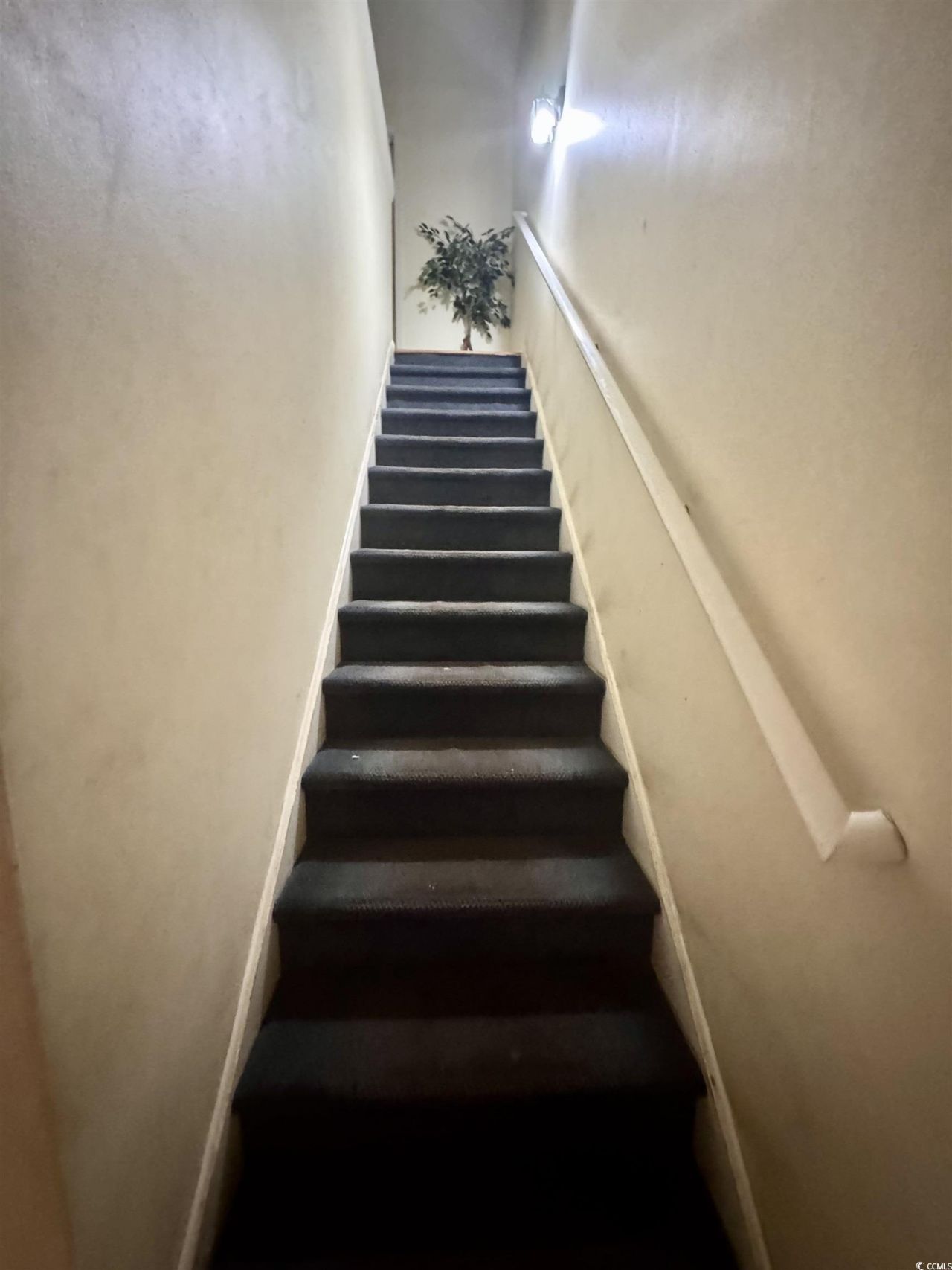 1207 Pinegrove Dr. Photo 10