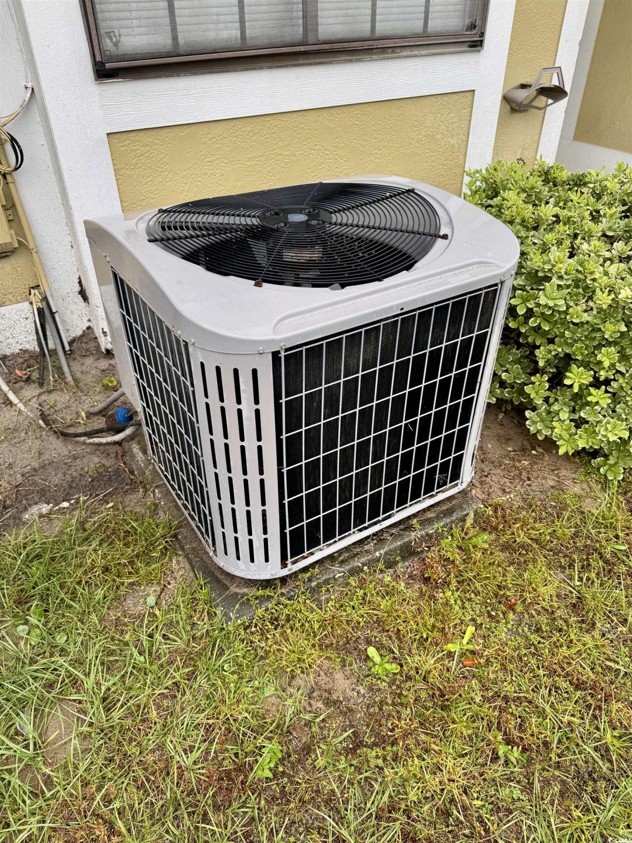 1207 Pinegrove Dr. Photo 20