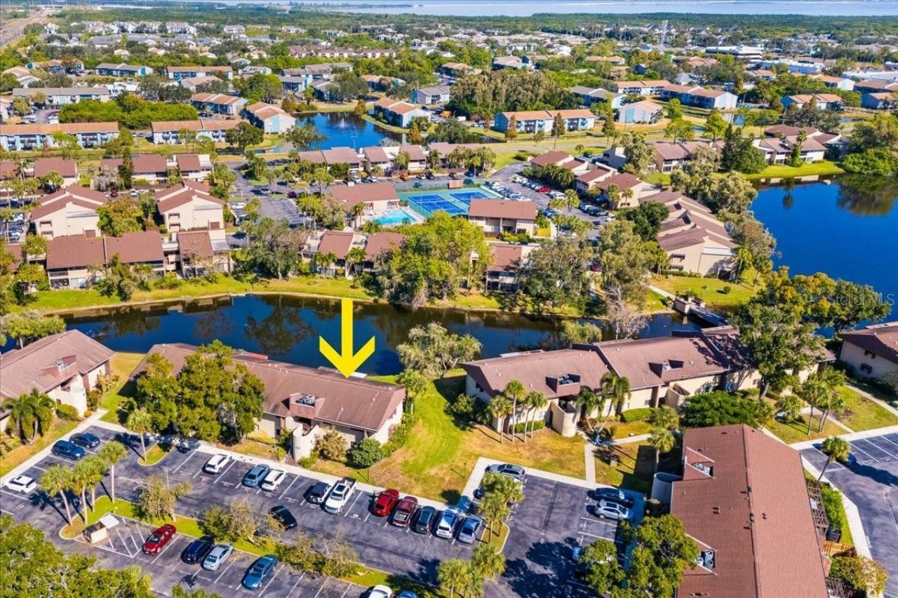 875 S Village Drive N, Unit 204, Saint Petersburg, FL 33716 Photo