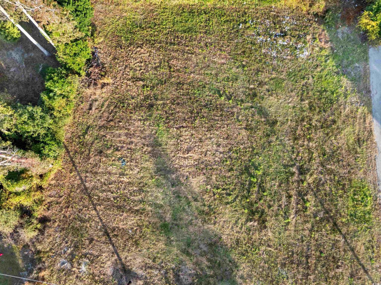 1015 30th Ave. S Photo 4