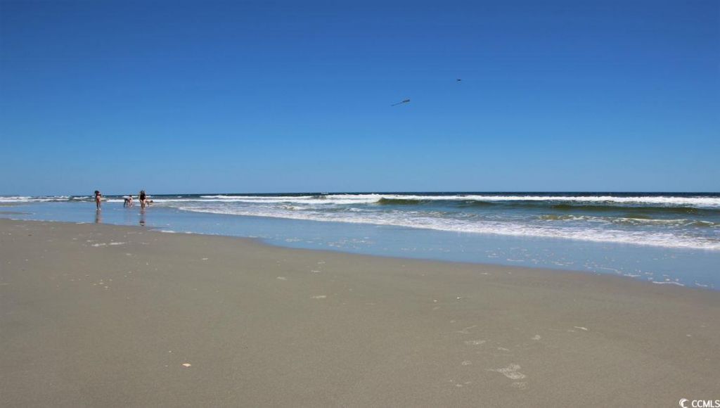 188 Bjorn Way Photo 35