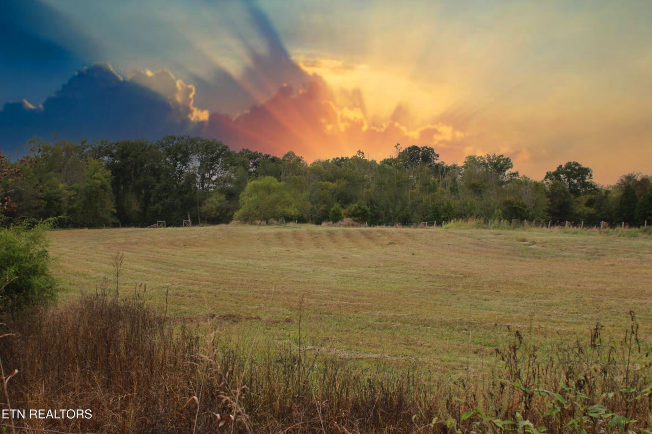 2497 Mt Carmel Rd, Decatur, TN 37322 Main Photo