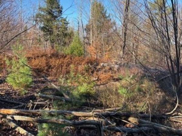 M 6, L 32 Main Street, Wayne, ME 04284